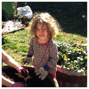 And a curiosity for gardening (and hopefully eating vegetables)